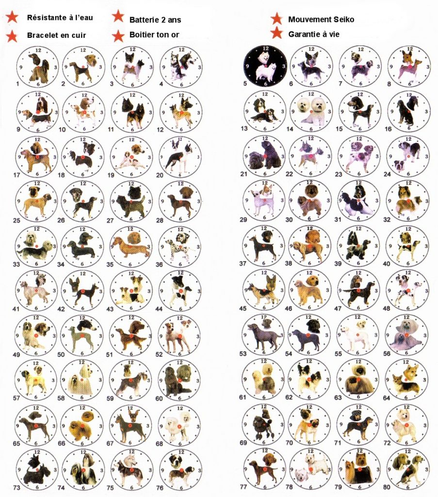 Race De Chien Par Ordre Alphabétique Race de chien en 9 lettres – Chien bonheur